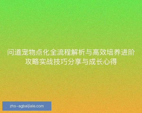 问道宠物点化全流程解析与高效培养进阶攻略实战技巧分享与成长心得