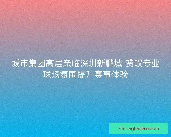 城市集团高层亲临深圳新鹏城 赞叹专业球场氛围提升赛事体验 城市集团高层亲临深圳新鹏城 赞叹专业球场氛围提升赛事体验